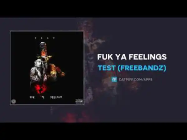 Test - Fuk Ya Feelings